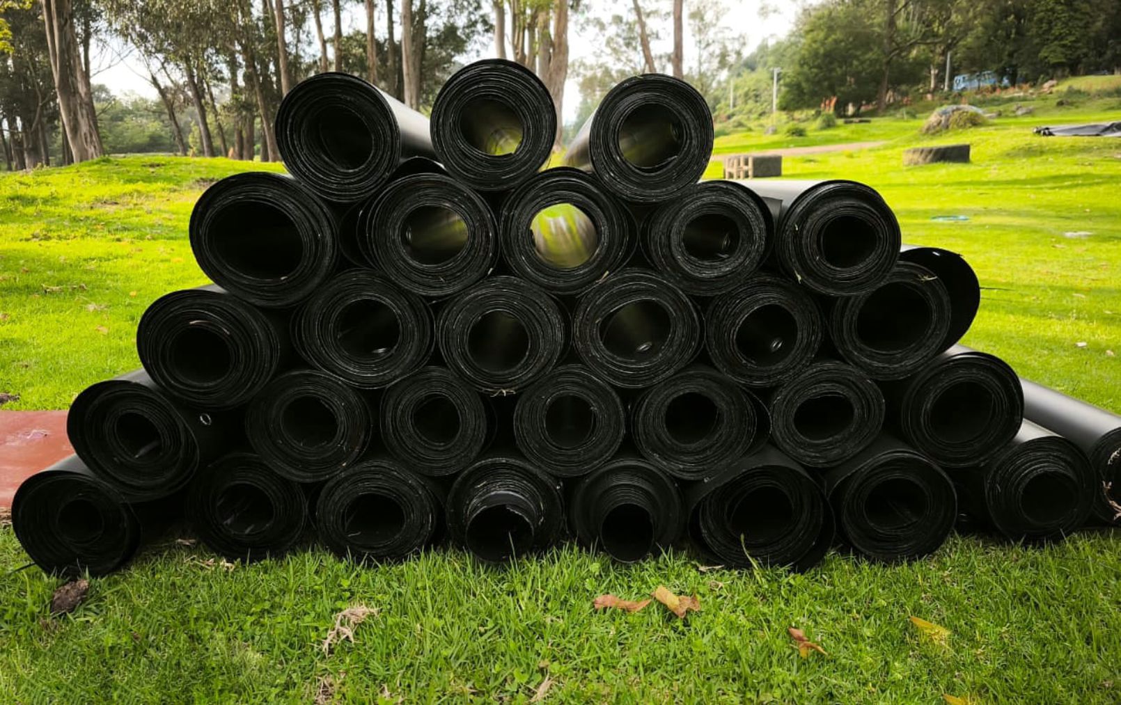 Distribución 3
